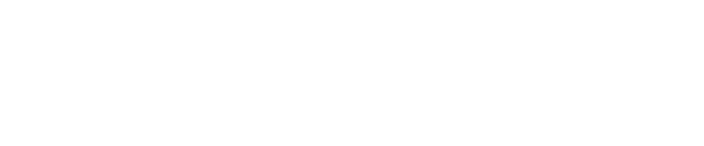 Logotipo de N&H LONGEVITY